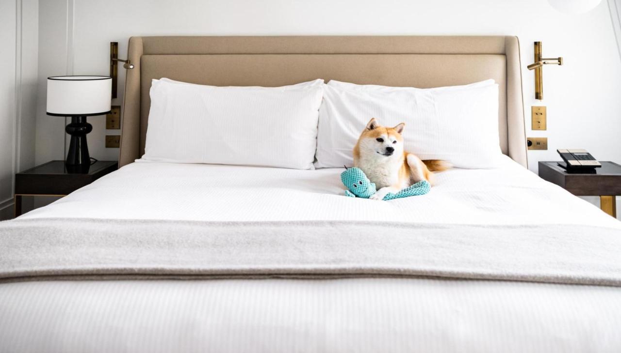 Kimpton - St Honore Paris By Ihg Luaran gambar